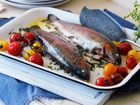 Блюда из форели: полезные советы и рецепты
