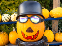 ТОП-5 смешных идей украшения тыквы на Хэллоуин