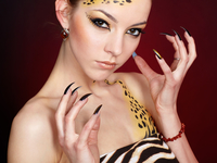 Макияж на Хэллоуин: Дикая кошка