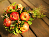 ТОП-5 яблочных идей для девичника