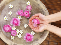 Розовая вода: Польза и применение в кулинарии