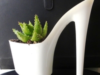 Топ-5 необычных горшков для комнатных растений