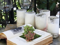 Создаем симпатичный вазон для растения из книги