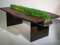 Животное в доме: 5 вещей для счастливой кошки