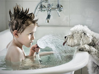 Идеи для смелых: Как оформить ванную комнату