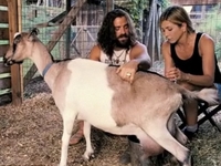 Дженнифер Энистон и Джастин Теру подоили козу