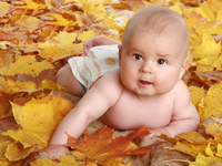 Как назвать ребенка, рожденного в ноябре