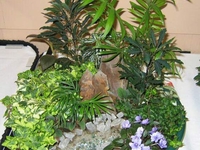 Утопая в зелени: Мини-сад в городской квартире