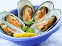 Мидии: Польза, правила выбора и секреты приготовления