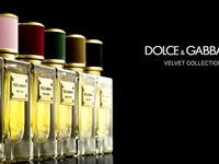 Коллекция ароматов Dolce & Gabbana: The Velvet collection