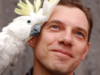 Твой мужчина: какая он птица