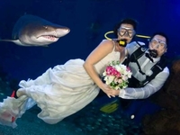 Новинка года: Свадьба в аквариуме