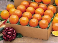 Мандарины: Основные виды, польза и вкусные рецепты