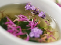 ТОП-7 полезных добавок к чаю