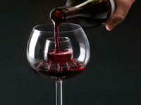 ТОП-10 необычных бокалов для вина