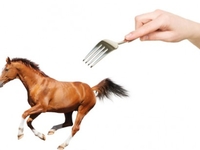 ТОП-10 продуктов, у которых проблемы с законом