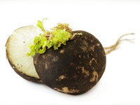 Редька: Лучший продукт от зимнего авитаминоза