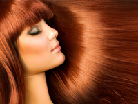 Профессионально ухоженные волосы от Syoss (Сйосс)