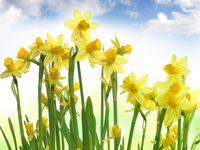 Подарок на 8 марта: Выбери идеальный