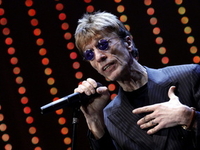 Вокалист Bee Gees Робин Гибб впал в кому