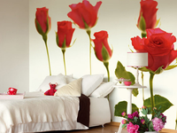 Фотообои: 25 идей для самых восхитительных стен