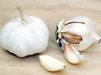Чеснок: Польза и кулинарное применение
