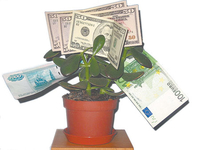 Какое растение принесет в дом достаток