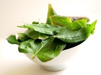 Весеннее меню: Что приготовить из щавеля?