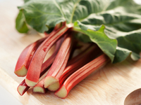 Что приготовить из ревеня?