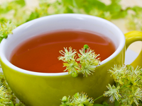 Липовый чай: Полезные свойства и рецепт