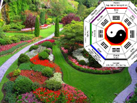 Сад и огород по фэн-шуй: Где высаживать растения?