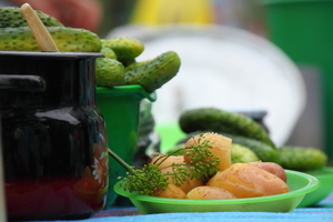 Как приготовить малосольные огурцы (ВИДЕО)