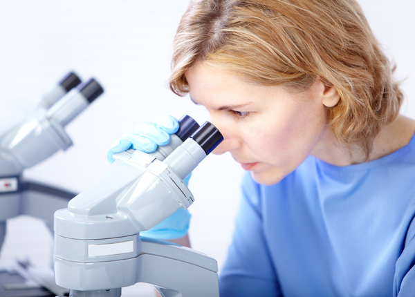 Шпинат предотвращает развитие рака