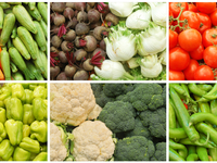 Салаты из свежих овощей: лучшие летние рецепты