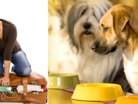 О чем нужно побеспокоиться, собираясь в отпуск