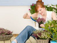 Народные рецепты для борьбы с вредителями комнатных цветов (ВИДЕО)