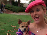 Путешествие по дому блондинки в законе, Риз Уизерспун