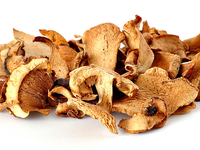 Заготавливаем лесные грибы на зиму: Советы и рецепты