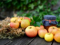 Полезные советы: как сварить вкусное яблочное варенье