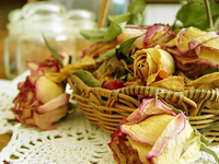 Из цветов, которые завяли, можно делать картины (ВИДЕО)