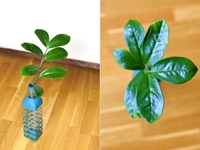 Очаровательный декор бутылки-вазы своими руками