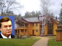 Интерьер охотничьего дома Виктора Януковича (23 фото)