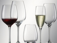 Бокалы для вина: Правила выбора