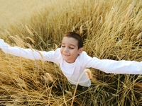 Осенние каникулы 2012 в Украине