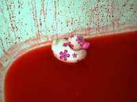 Ванная на Хэллоуин: Гости будут в ужасе! (ВИДЕО)