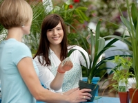 Как распознать больное растение при покупке