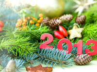 Что приготовить на Новый год 2013