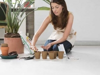 Определяем, нуждается ли твое растение в удобрении