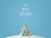 Рождество 2022: когда, традиции праздника