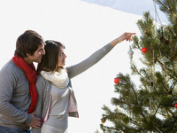 Когда убирать новогоднюю елку